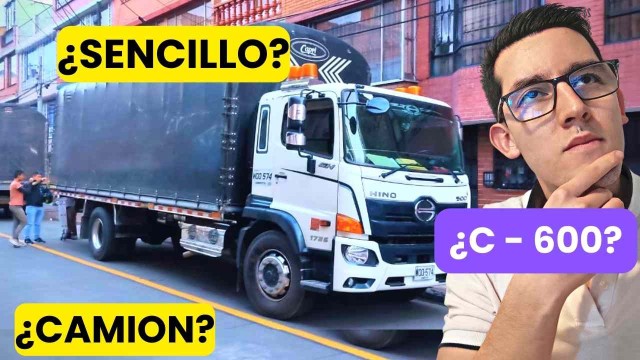 ¿que es un camion sencillo?